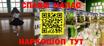 мяу мяу мука Будённовск