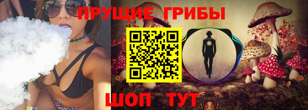 Набережные Челны  Галлюциногенные грибы прущие грибы  Вход с VPN 